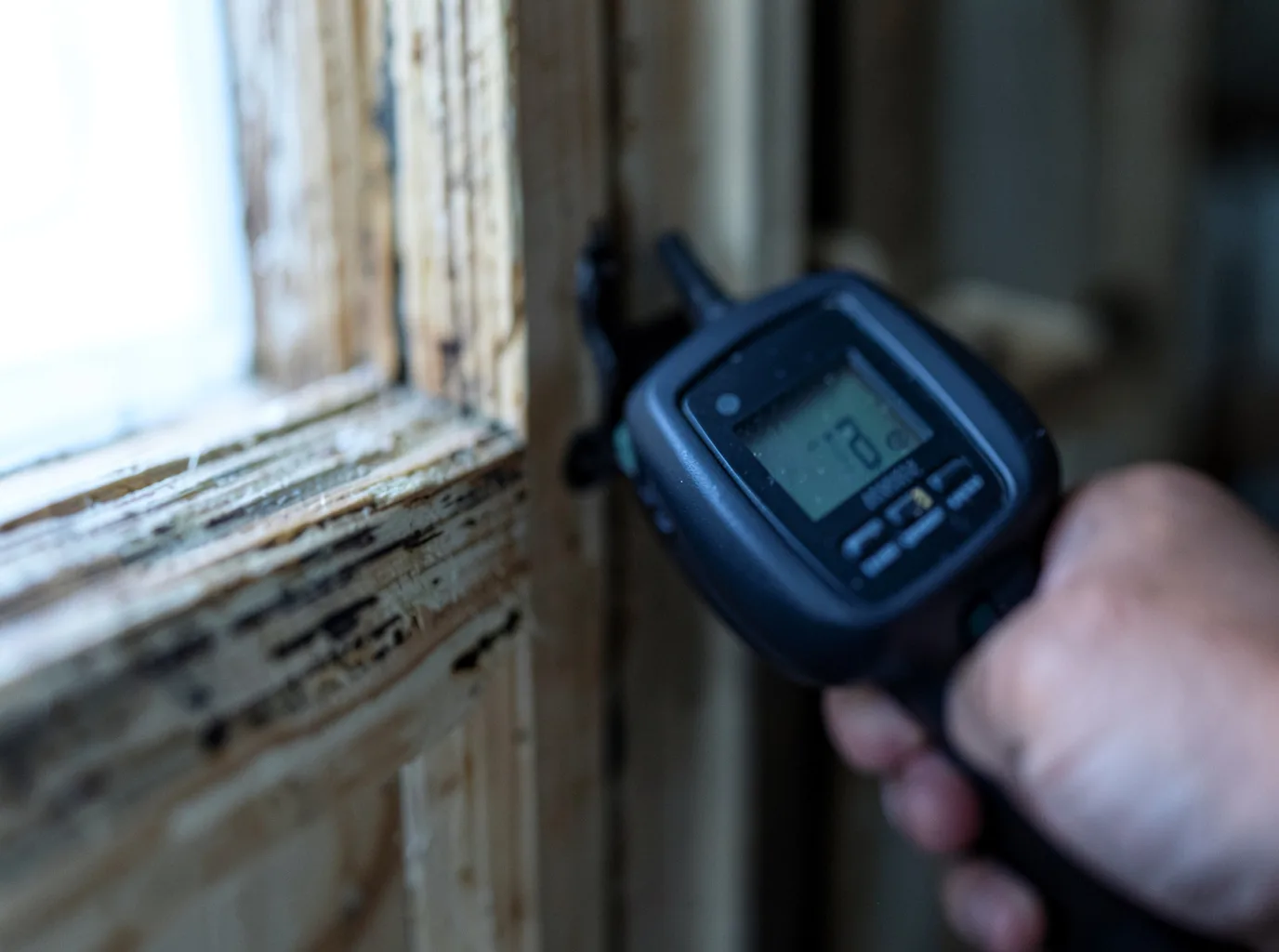 Moisture Inspection And Documentation in Collins, MO